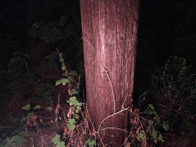 nix小魔方头灯体验让你爱不释手！冰球突破爆百万大奖超轻超能！Fe(图7)