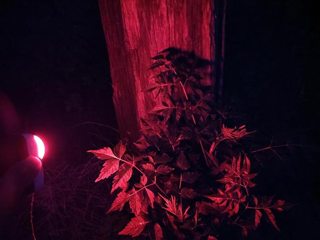 nix小魔方头灯体验让你爱不释手！冰球突破爆百万大奖超轻超能！Fe(图15)