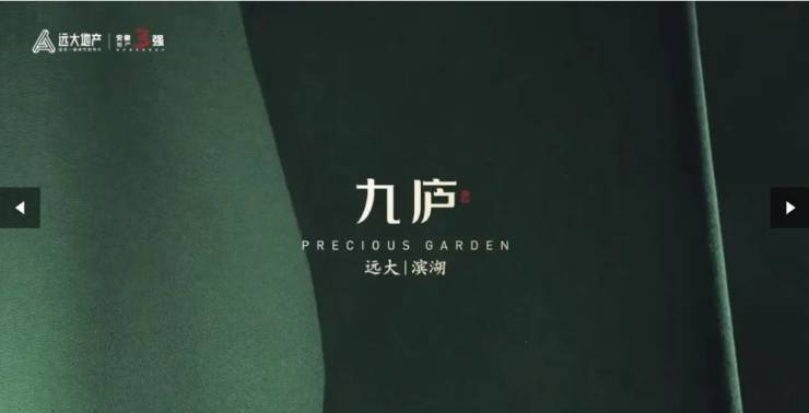 26合肥房价-楼盘评测-地址-详情-售楼处电话-交房时间冰球突破豪华版手机版合肥远大九庐售楼处直销首页网站20(图5)